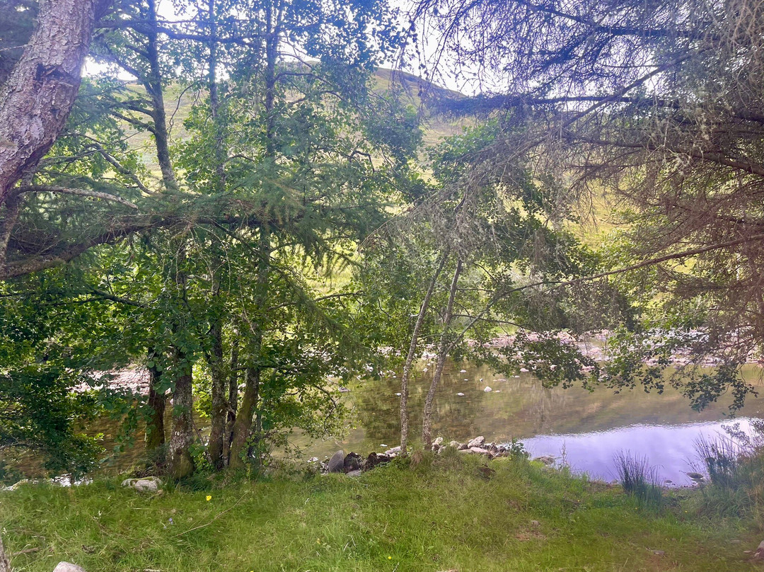 Moyle Park Campsite主图