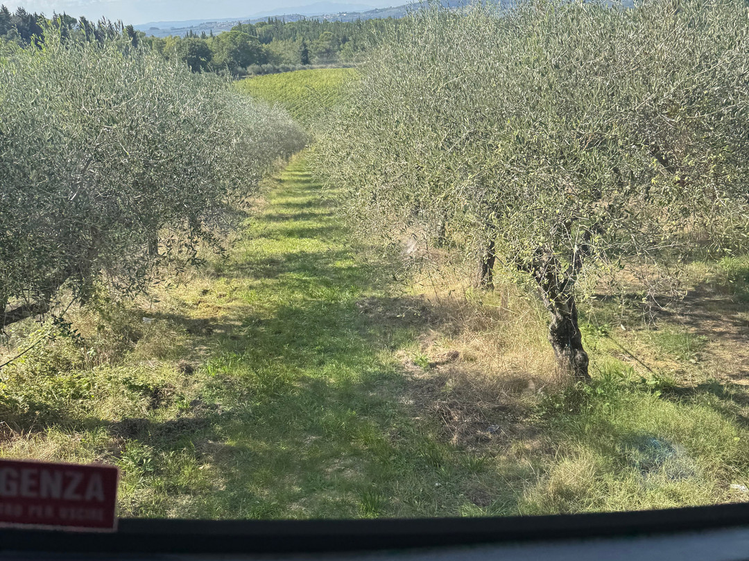 Casa Emma-San Donato in Poggio必去景点