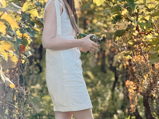 Amisulashvili Wine Cellar-Kolagi必去景点