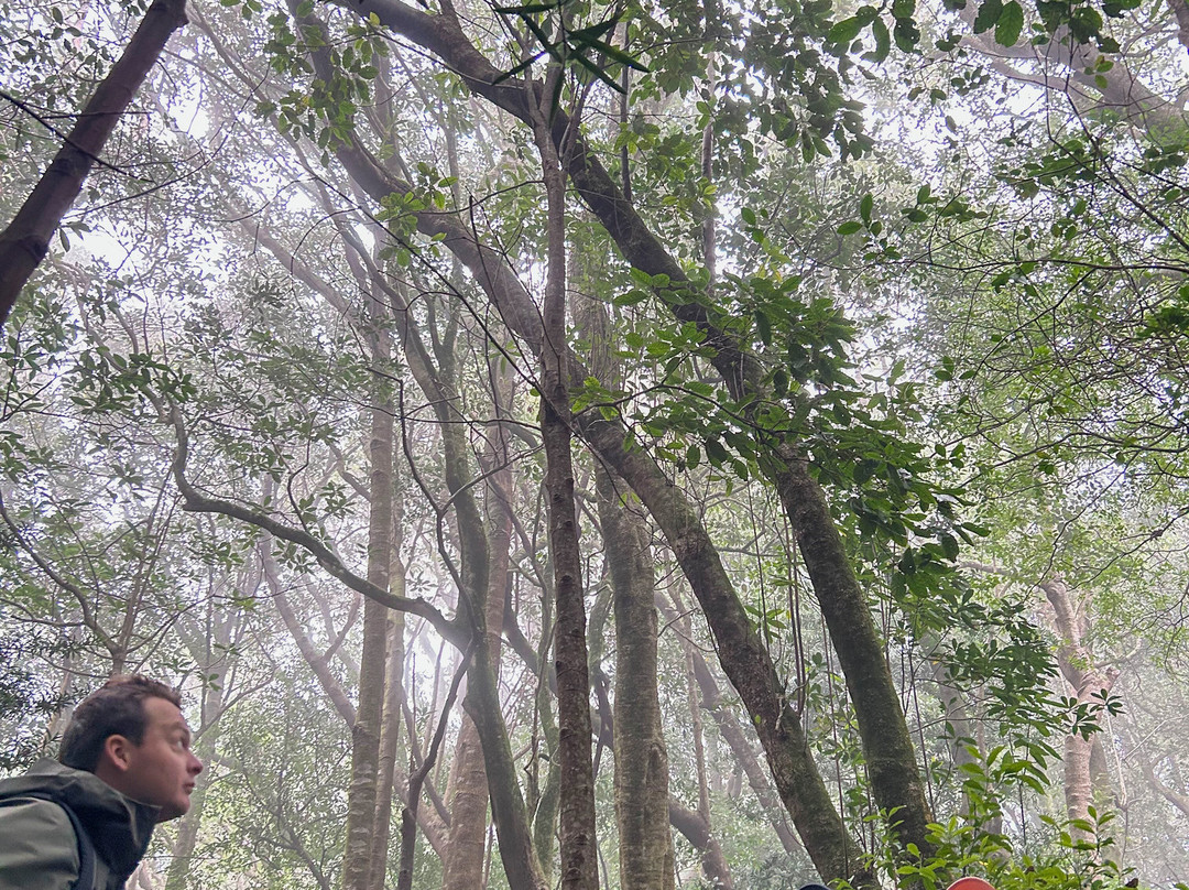 Blue Mountain Trail-Botrivier必去景点