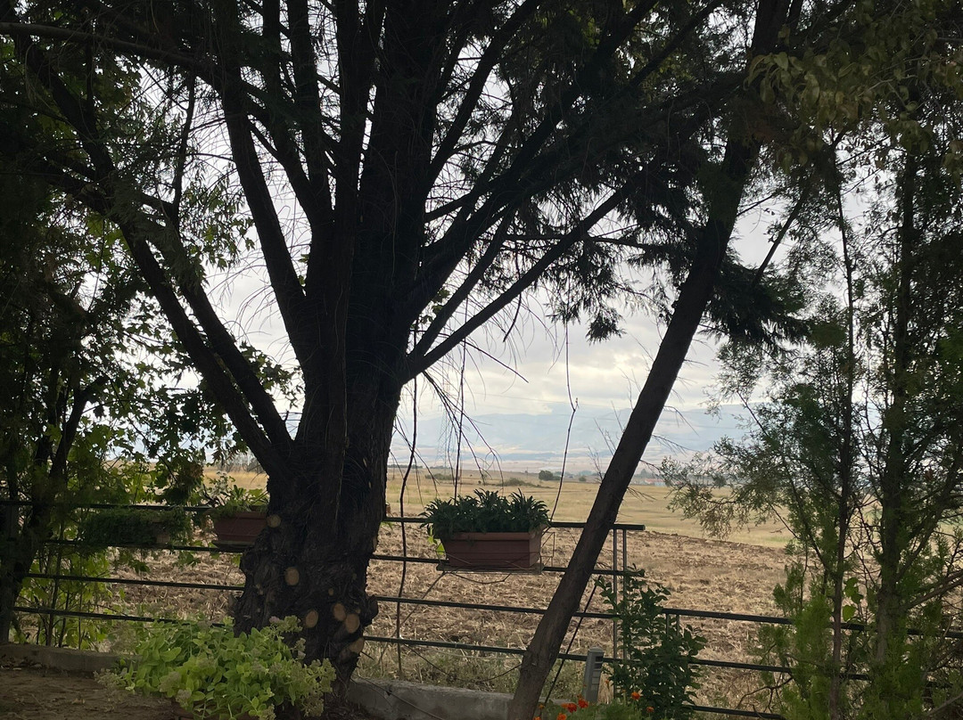 Ioannou Resort