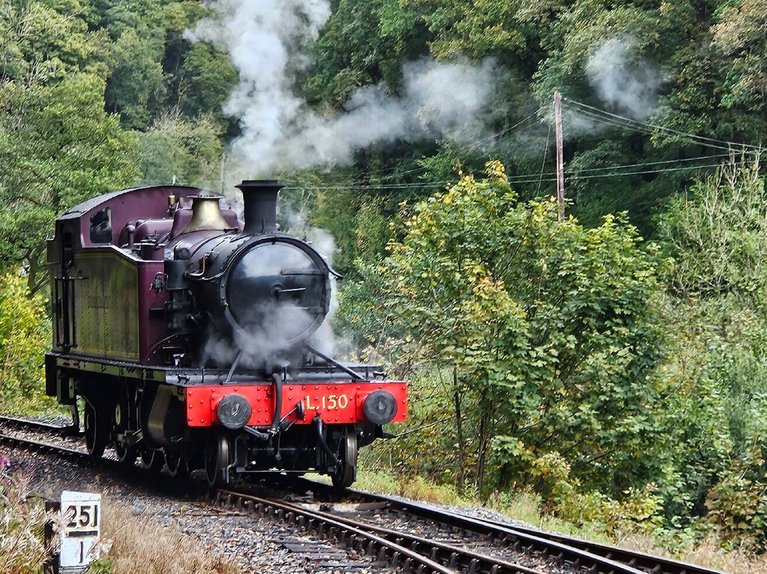 Gwili Railway-喀麦登必去景点