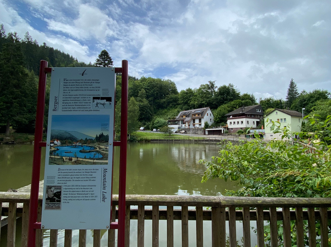 Triberger Waterfall-特里贝格必去景点