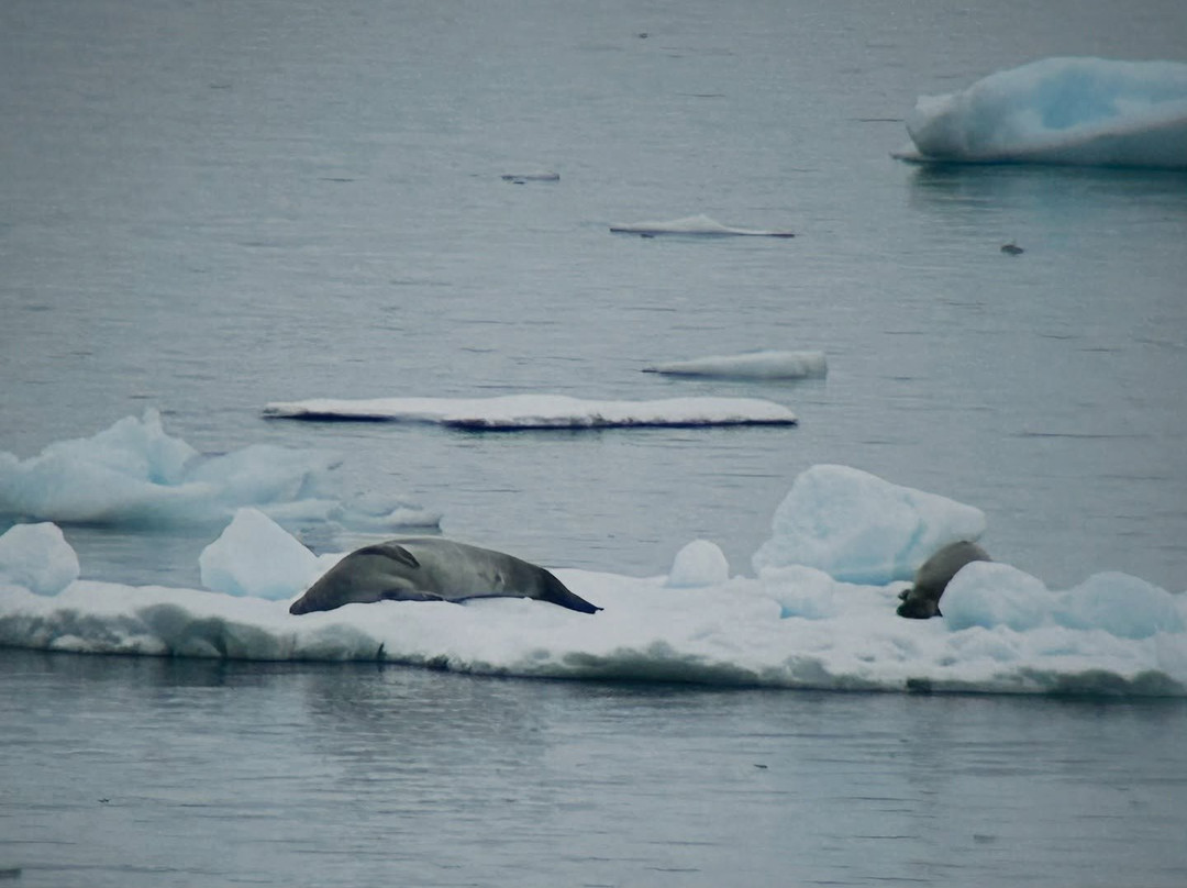 Bahia Paraiso-Antarctic Peninsula必去景点