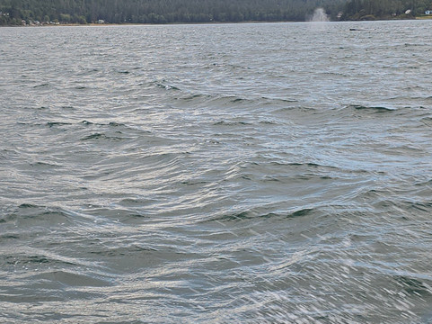 Alaska Travel Adventures-朱诺必去景点