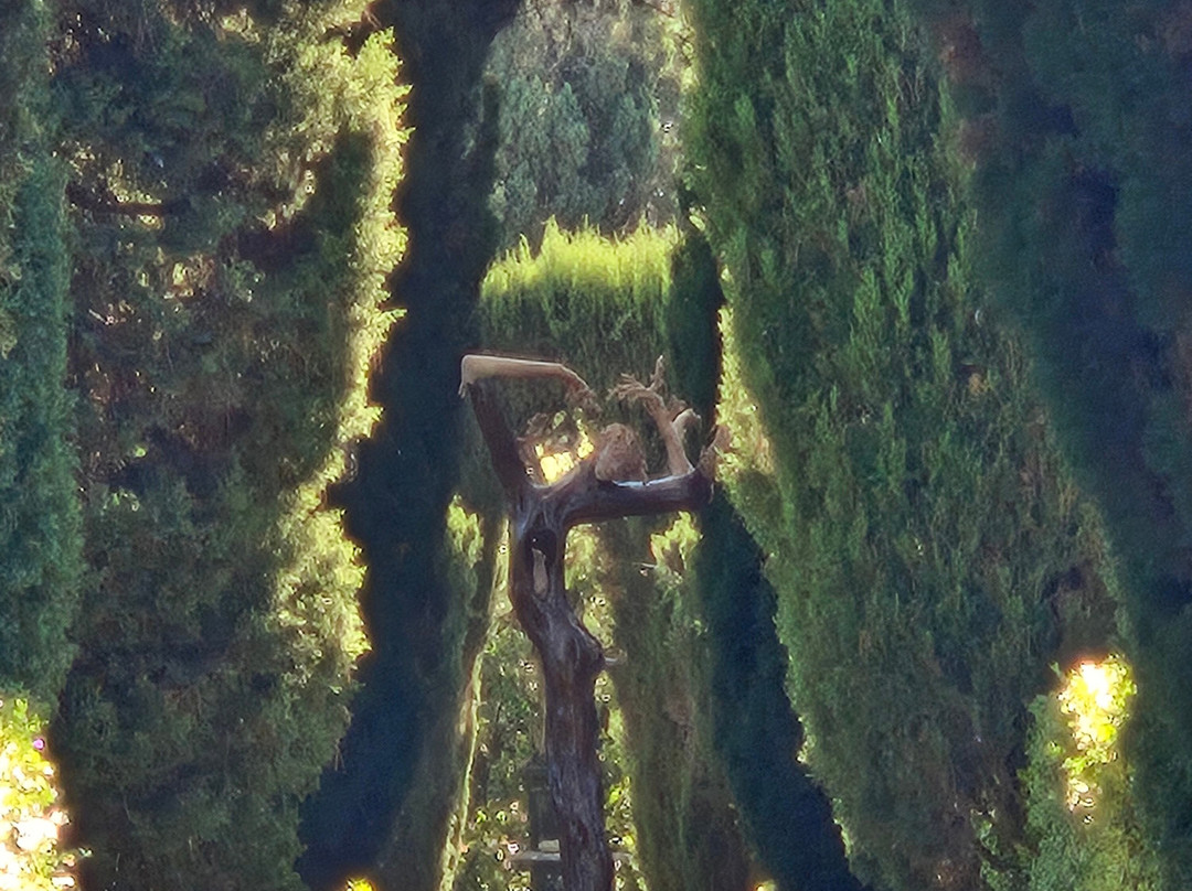 Biking Tuscany Tour-Peccioli必去景点