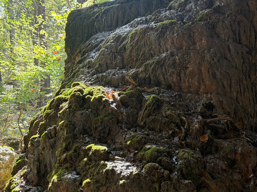 Westcave Outdoor Discovery Center-奥斯丁必去景点