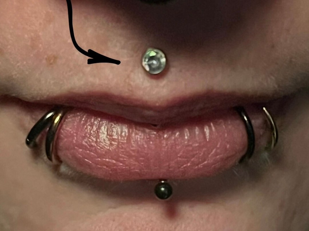 The Inked Orchid Tattoo-North Sydney必去景点