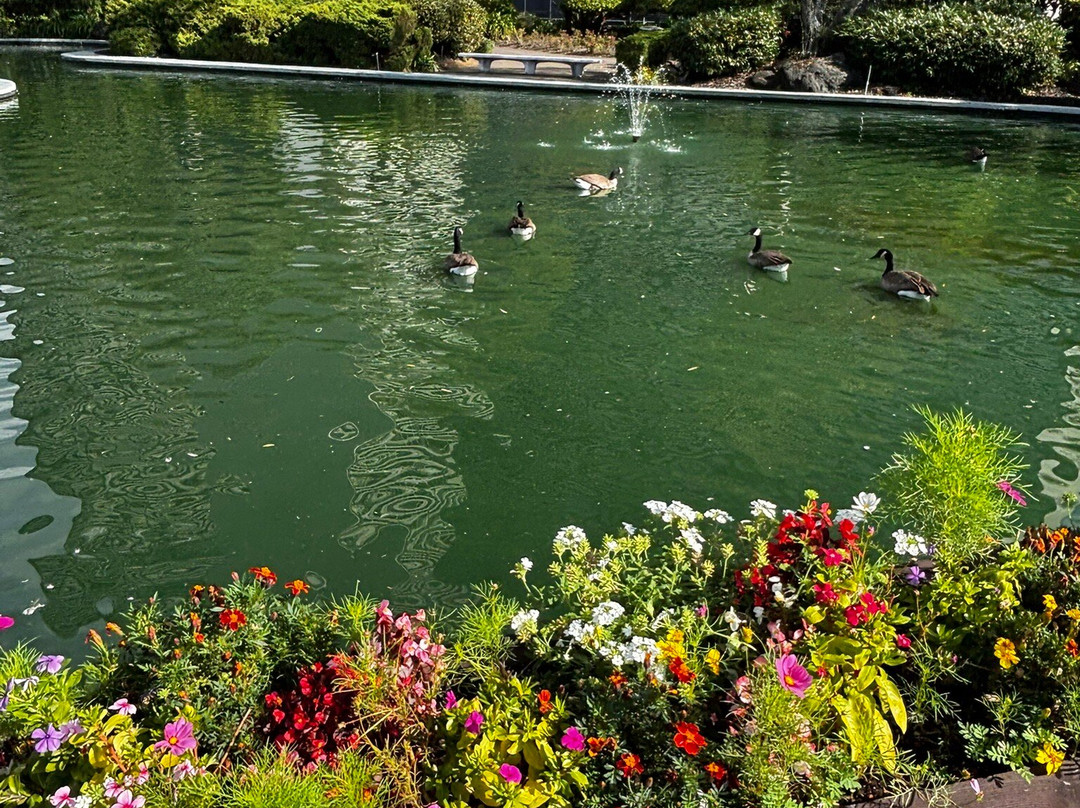 Kaiser Center Roof Garden-奥克兰必去景点