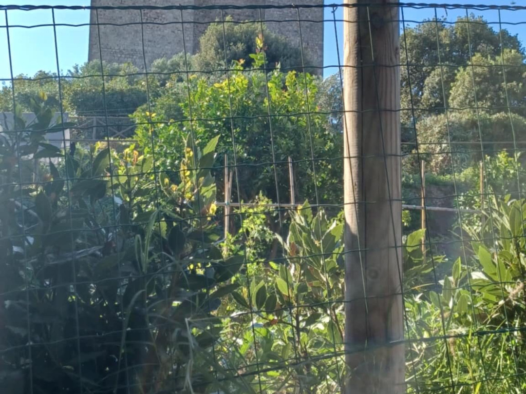 La Rocca Senese-Talamone必去景点