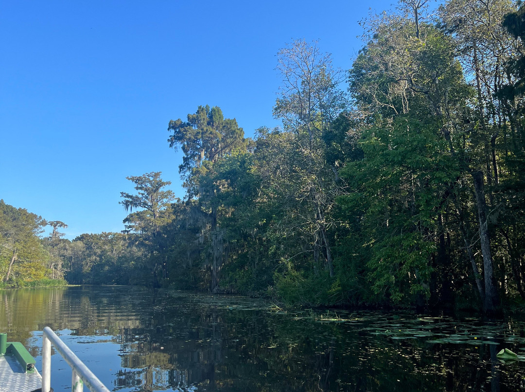 Beyond the Bayou-新奥尔良必去景点