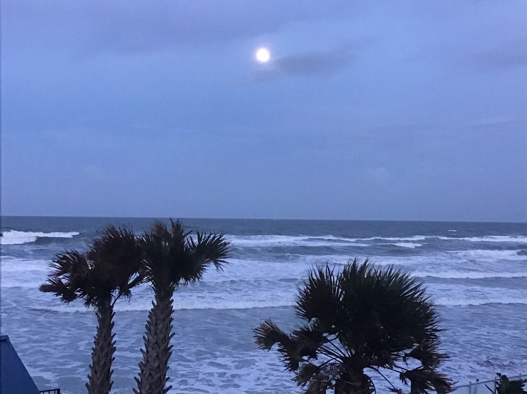 Bluegreen Dolphin Beach Club主图