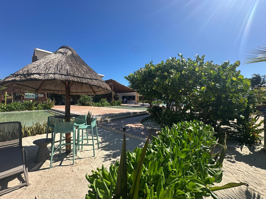 Totem Beach Club-塞莱斯顿必去景点