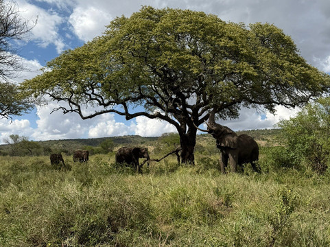 Soraka Tours-莫西必去景点
