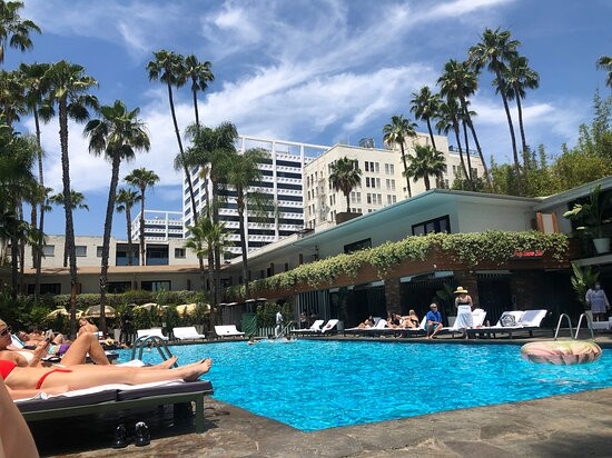 好莱坞罗斯福酒店主图