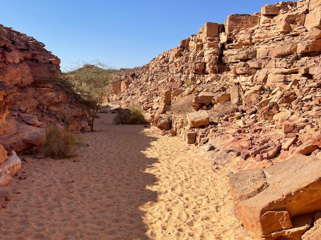 Sharm Happy Tours-沙姆沙伊赫必去景点