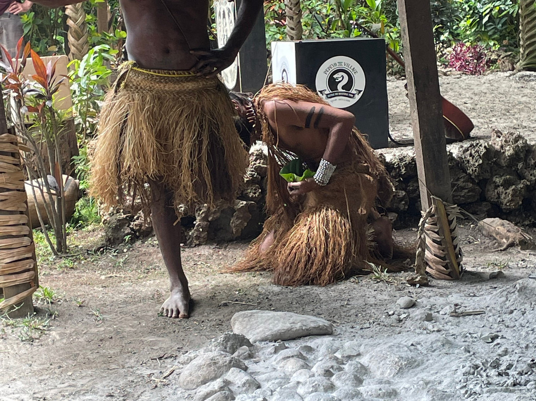 The Vanuatu Cultural Centre-维拉港必去景点