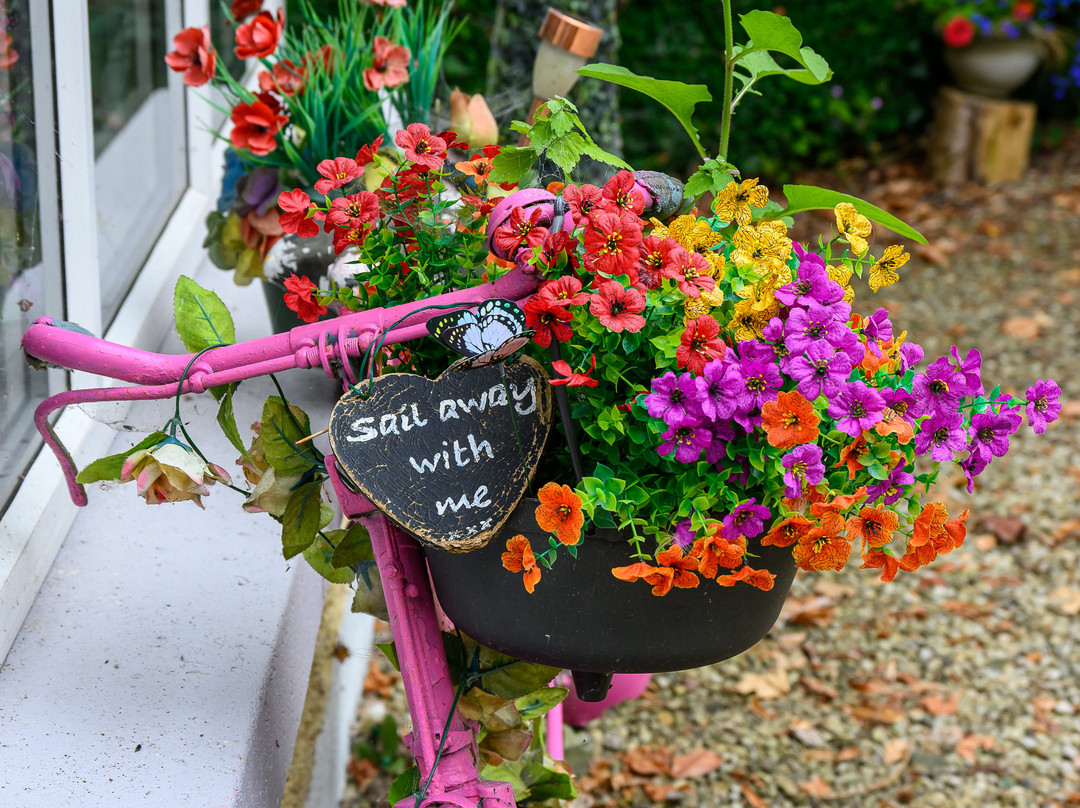 Newlands Lodge主图