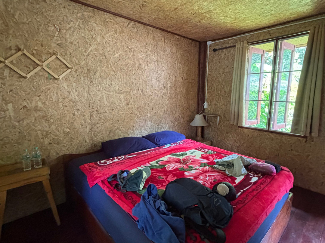 Bees - Burm And Emily's Elephant Sanctuary-夜占必去景点