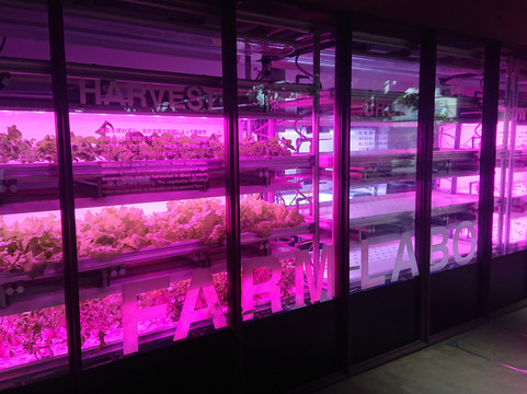 Shibuya Fureai Botanical Center-涩谷区必去景点