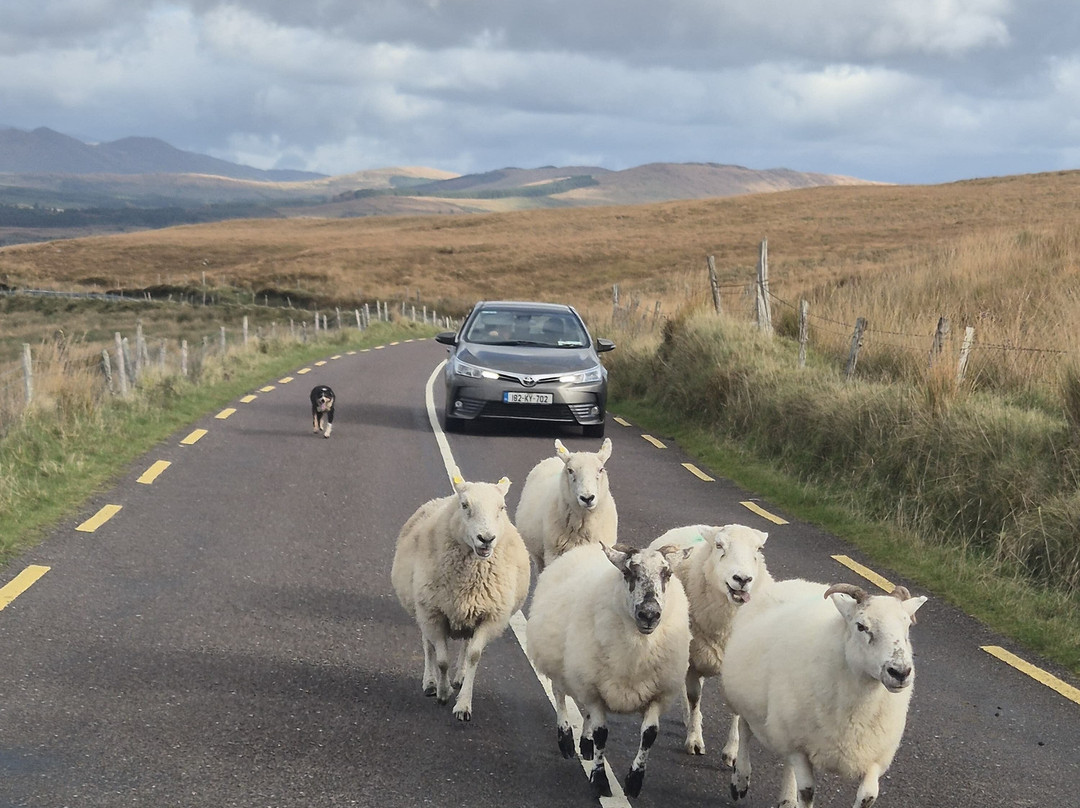 Luxury Irish Tours-戈尔韦必去景点