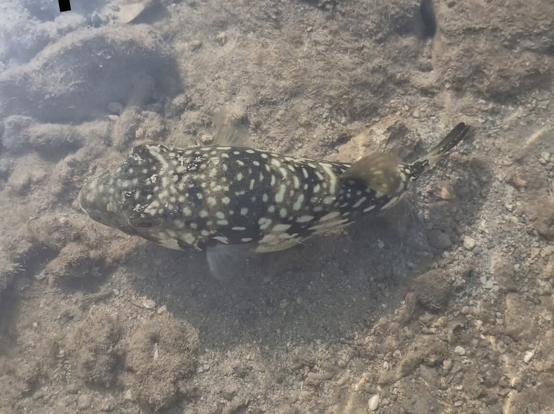 Narara Marine National Park-Devbhumi Dwarka District必去景点