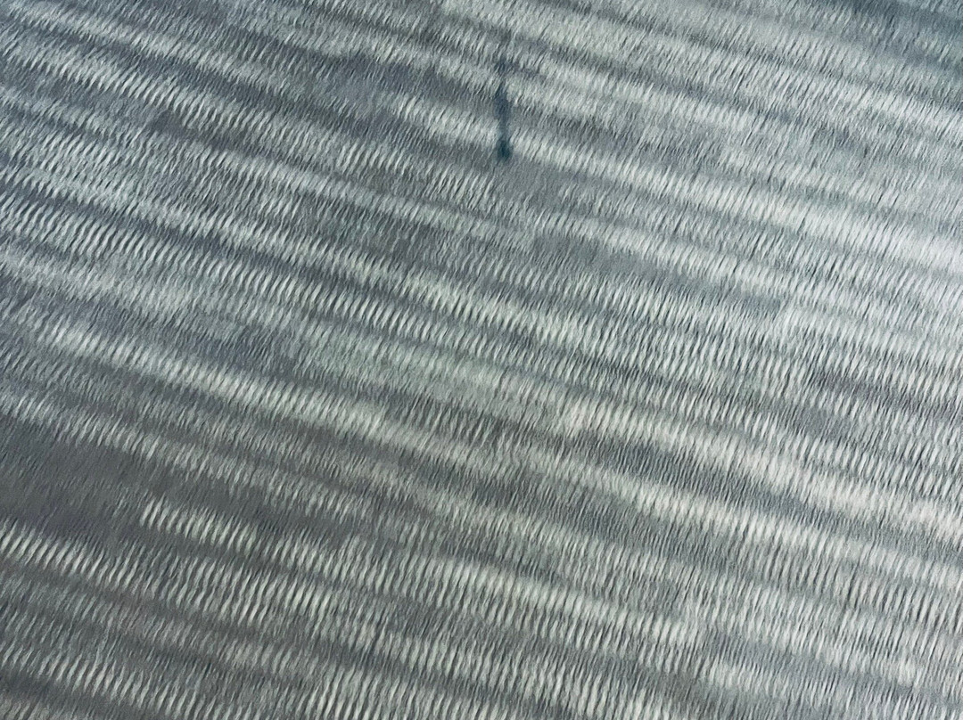 Hyatt Place Birmingham Hoover主图