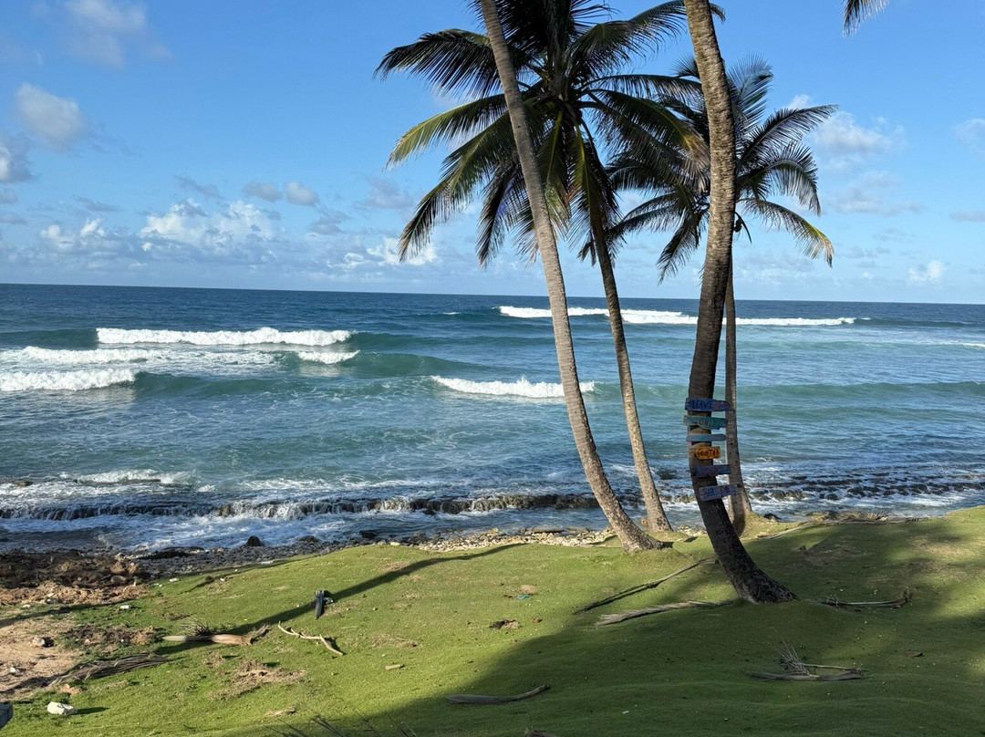 MHKK Tours & Taxi Service-Rockley必去景点