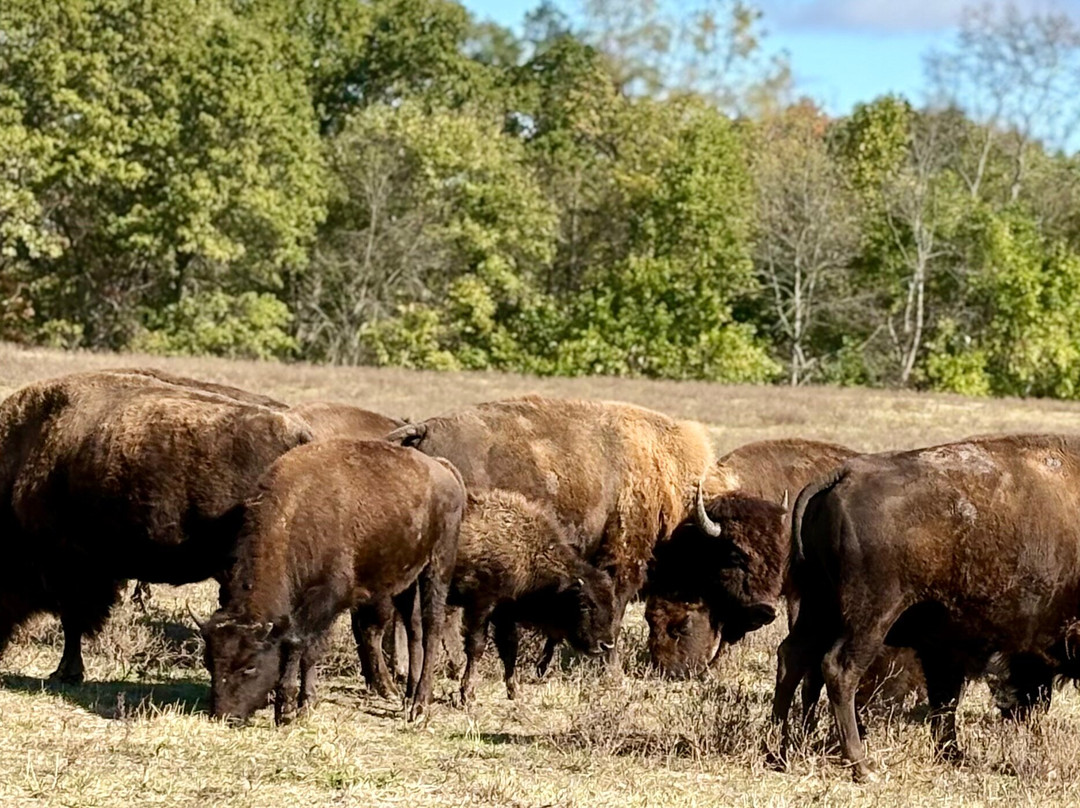 Wildlife Prairie Park-Hanna City必去景点