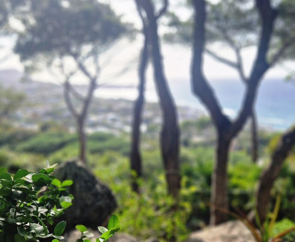 Giardini La Mortella-福里奥必去景点