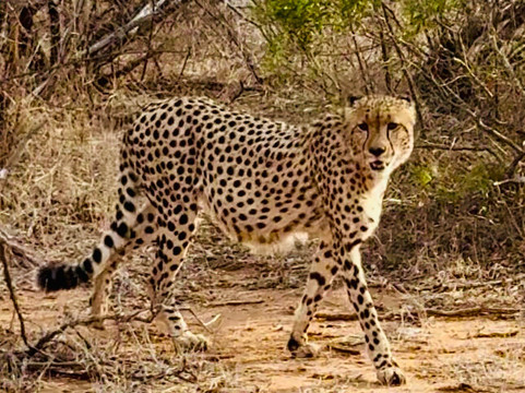 MyAfrica-霍德斯普鲁特必去景点