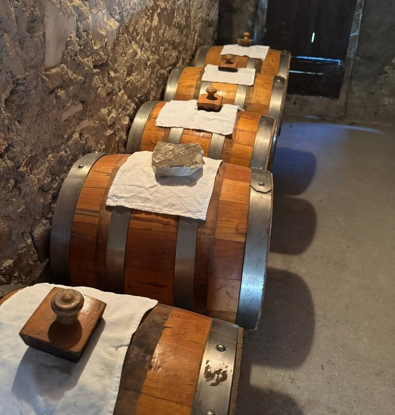 Stefania's Cooking Classes & Tours-帕尔马必去景点