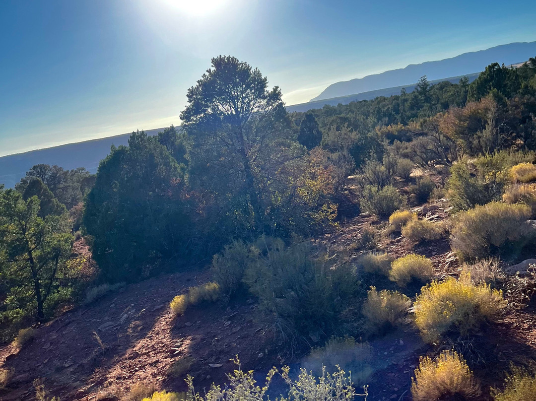Zion Wright Family Ranch-Virgin必去景点