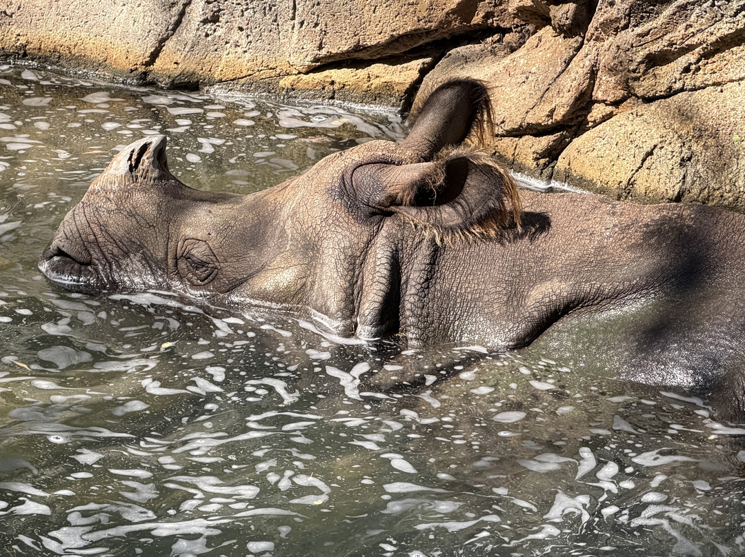 Fort Worth Zoo-沃思堡必去景点