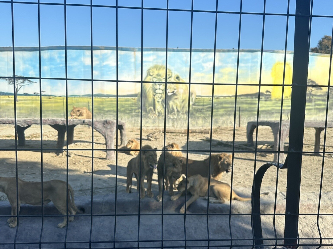 Berkem Aslan Diyari-Golbasi必去景点