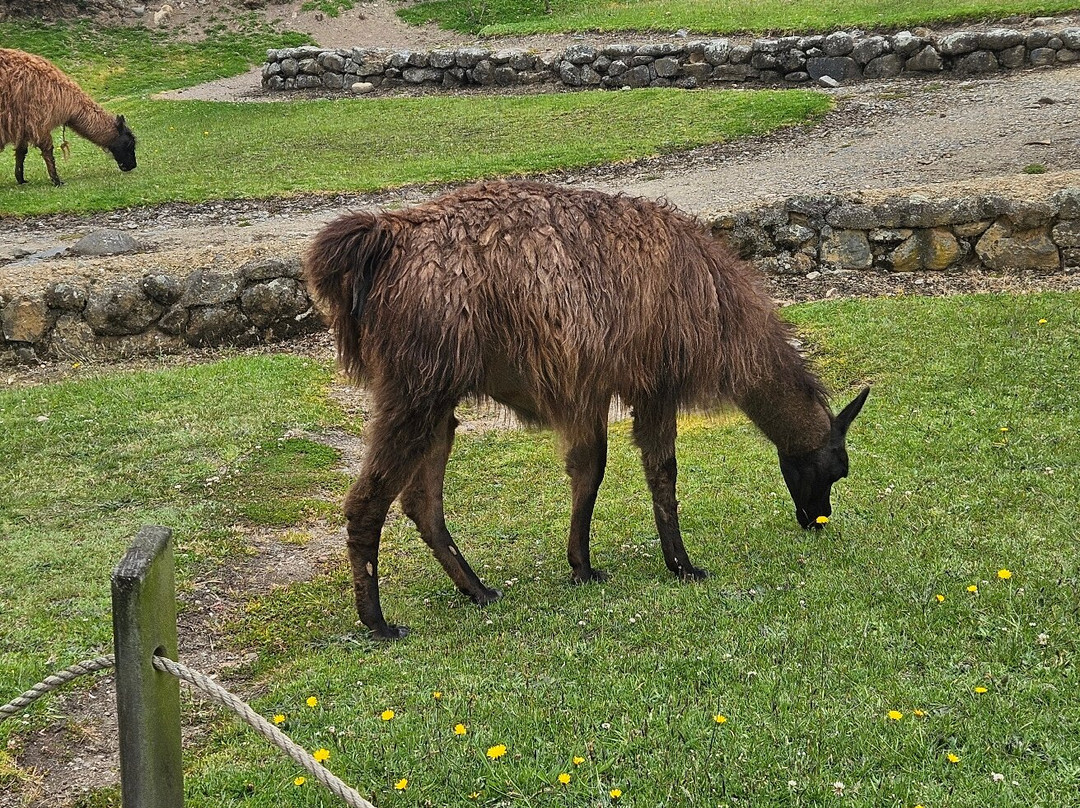 Expediciones Apullacta-昆卡必去景点