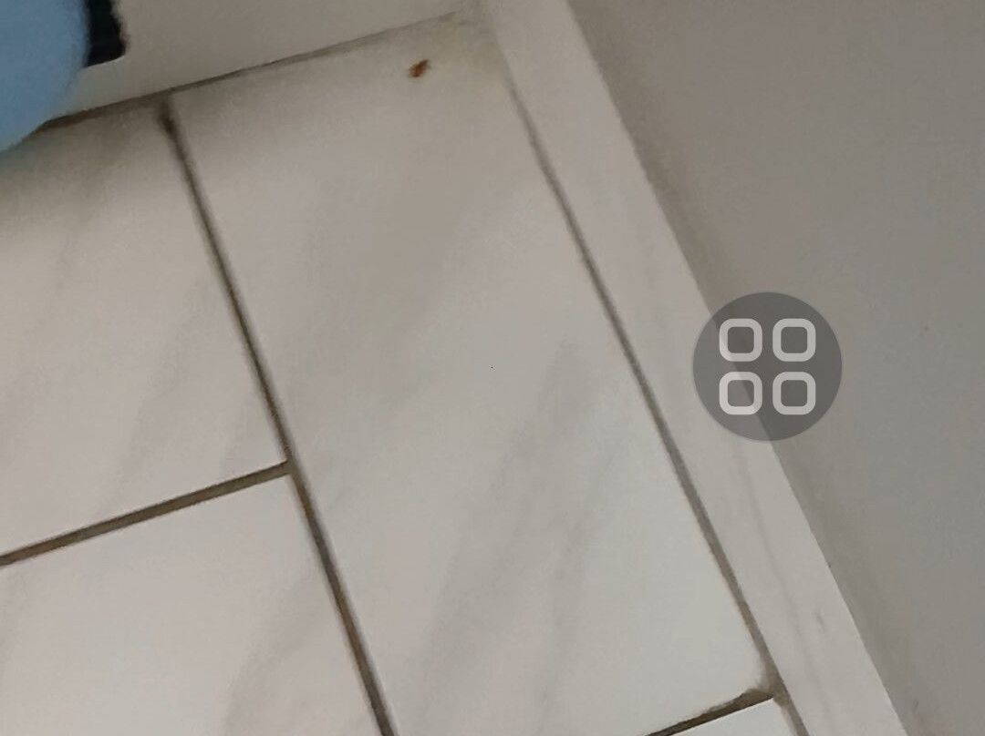 玛丽安娜旅馆&套房酒店主图