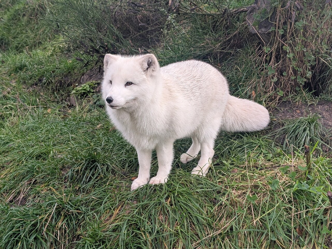Wild Ireland-Burnfoot必去景点