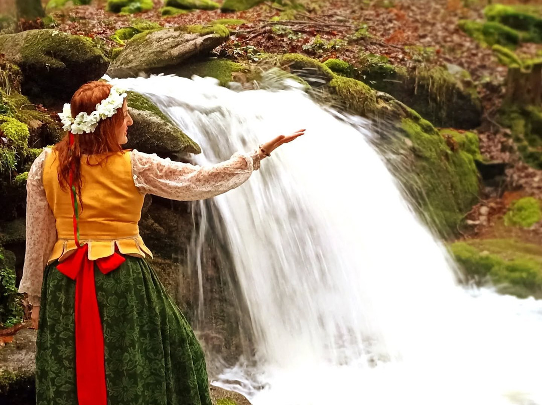 Parque Natural Monte Aloia-图伊必去景点