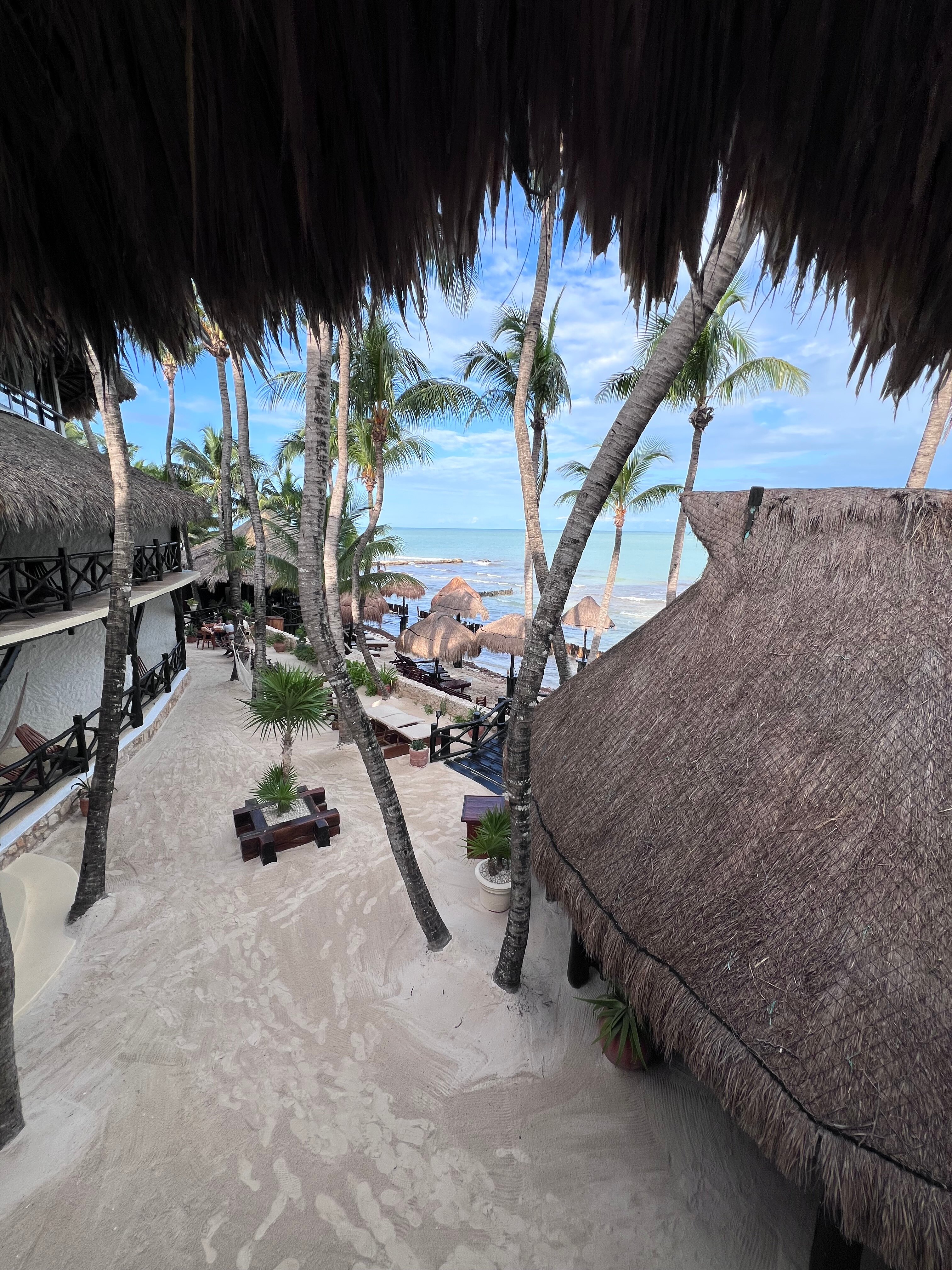Beachfront Hotel La Palapa-官方