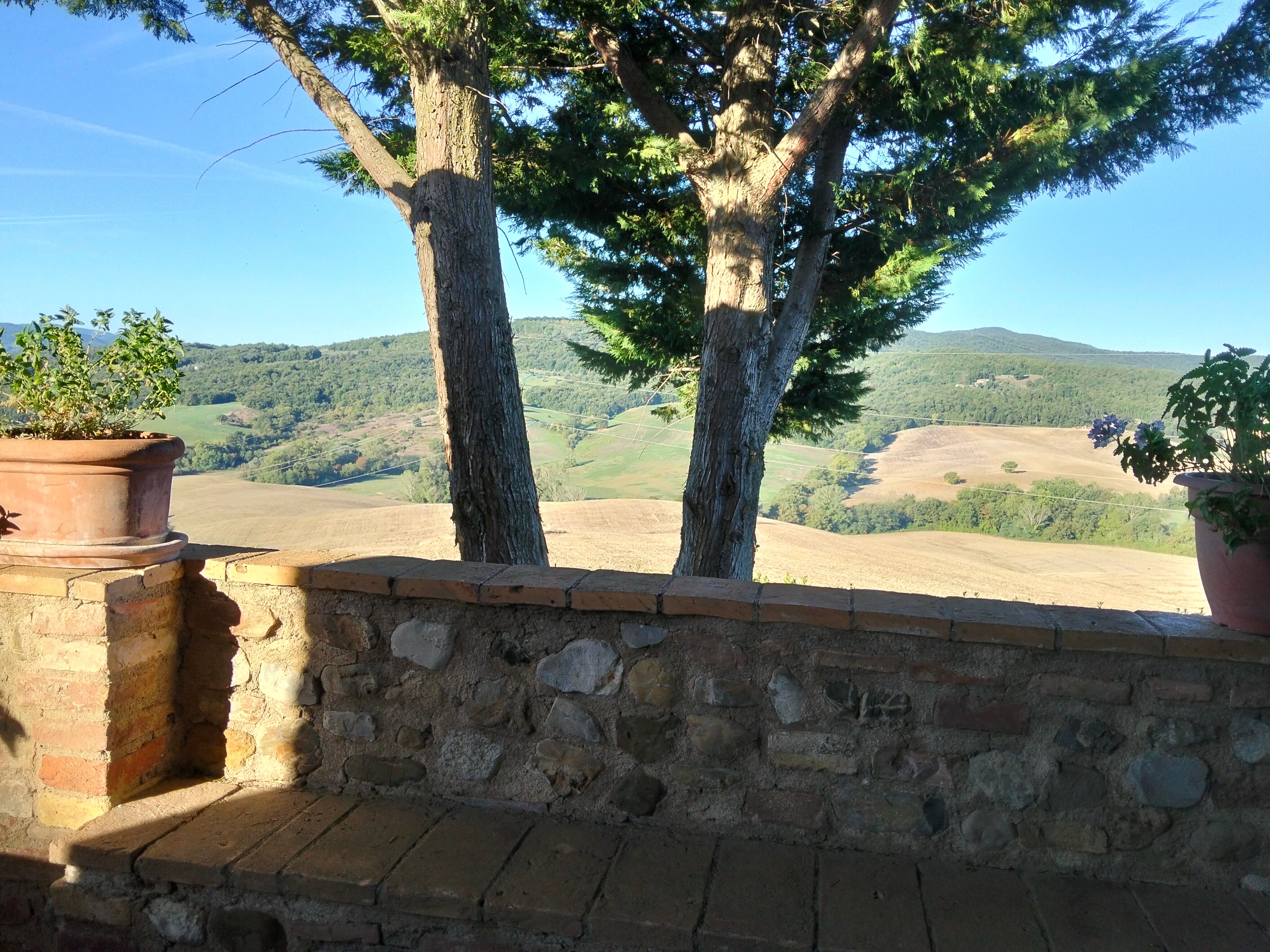 Podere La Ciabatta-官方