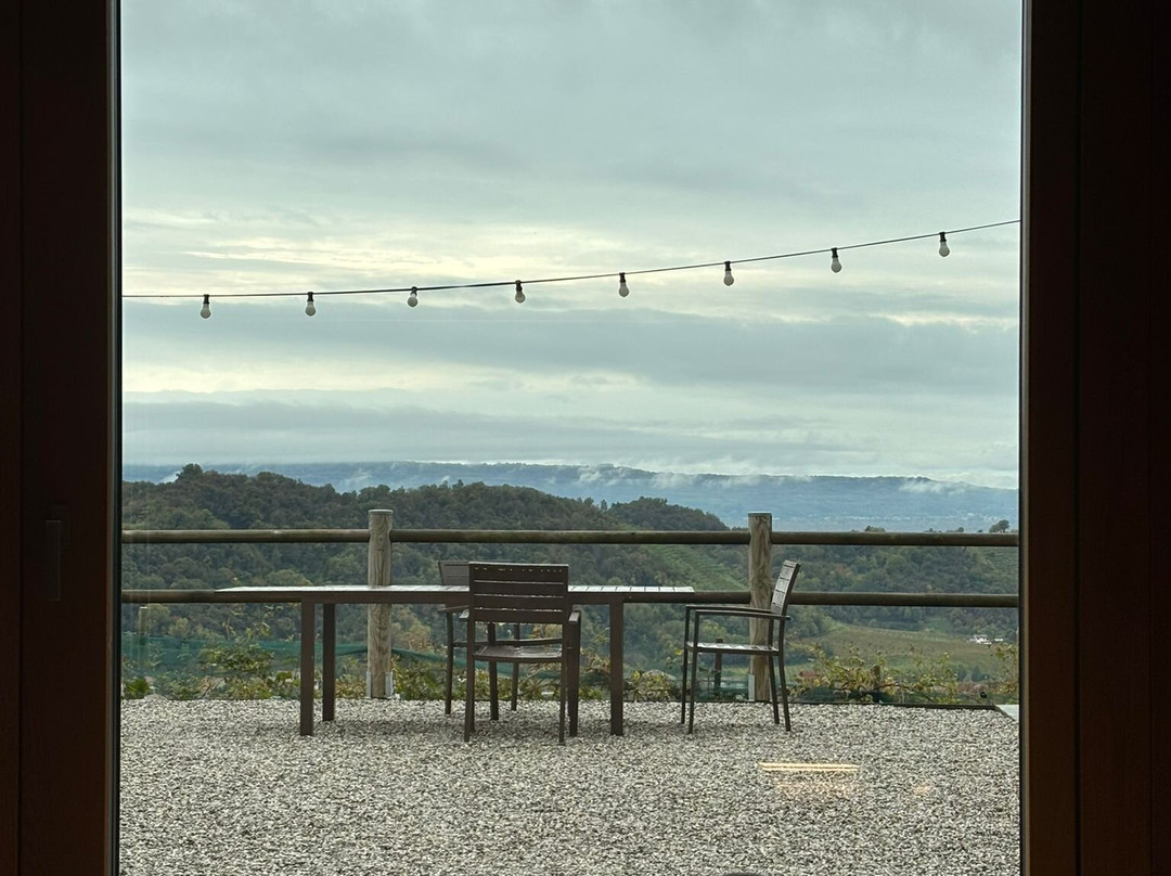 Cantina Pietrovecchio-Santo Stefano必去景点