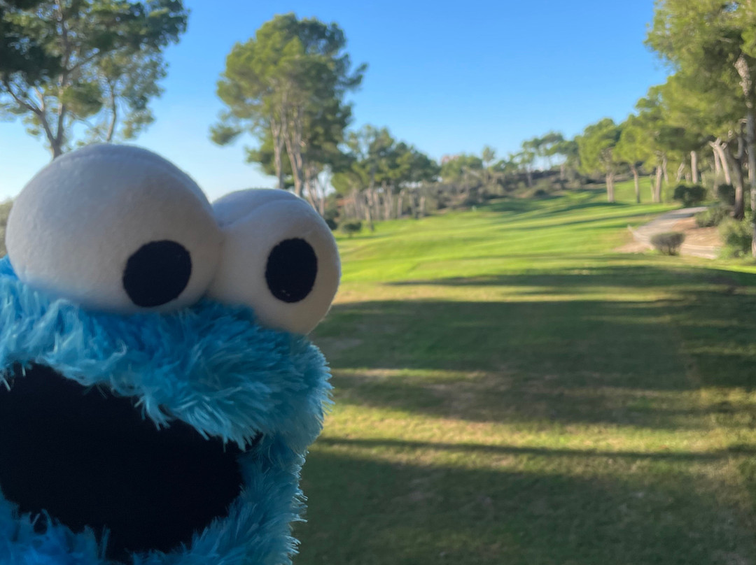 Vall d'Or Golf-Felanitx必去景点