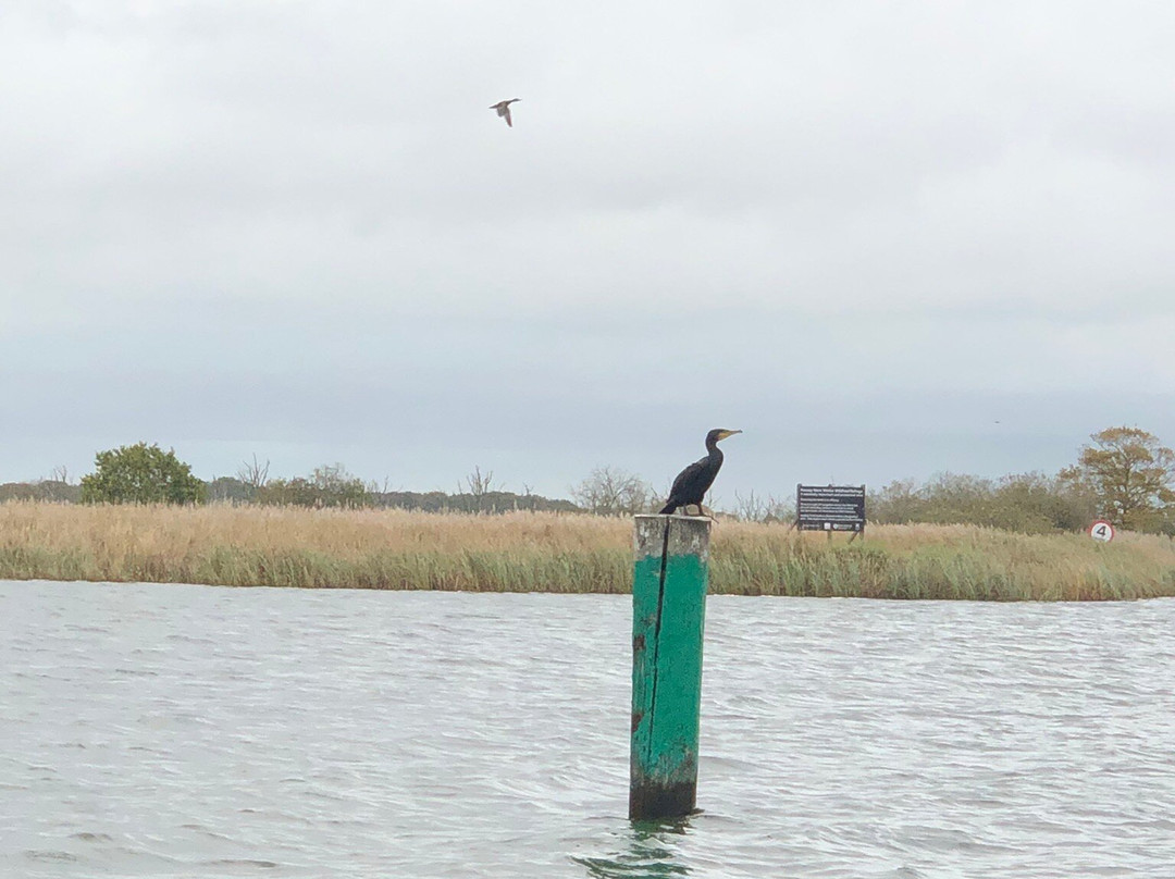 Ross' Wildlife Boat Trips-Mustard Hyrn必去景点