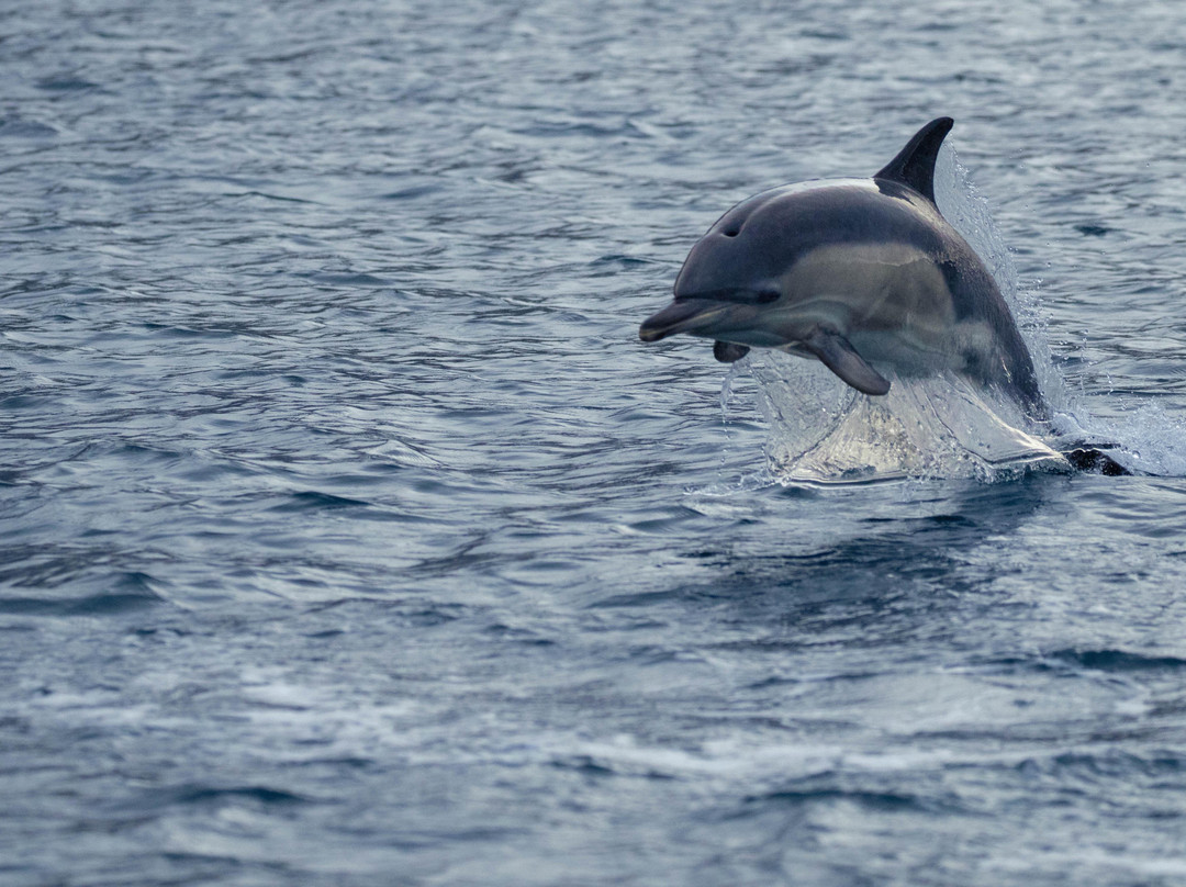 Seaprobe Atlantis-Kyle of Lochalsh必去景点