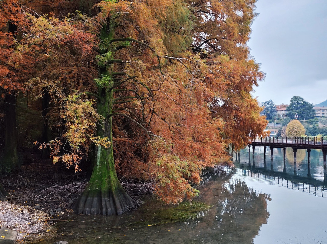 Parco dei TAXODI-Paratico必去景点