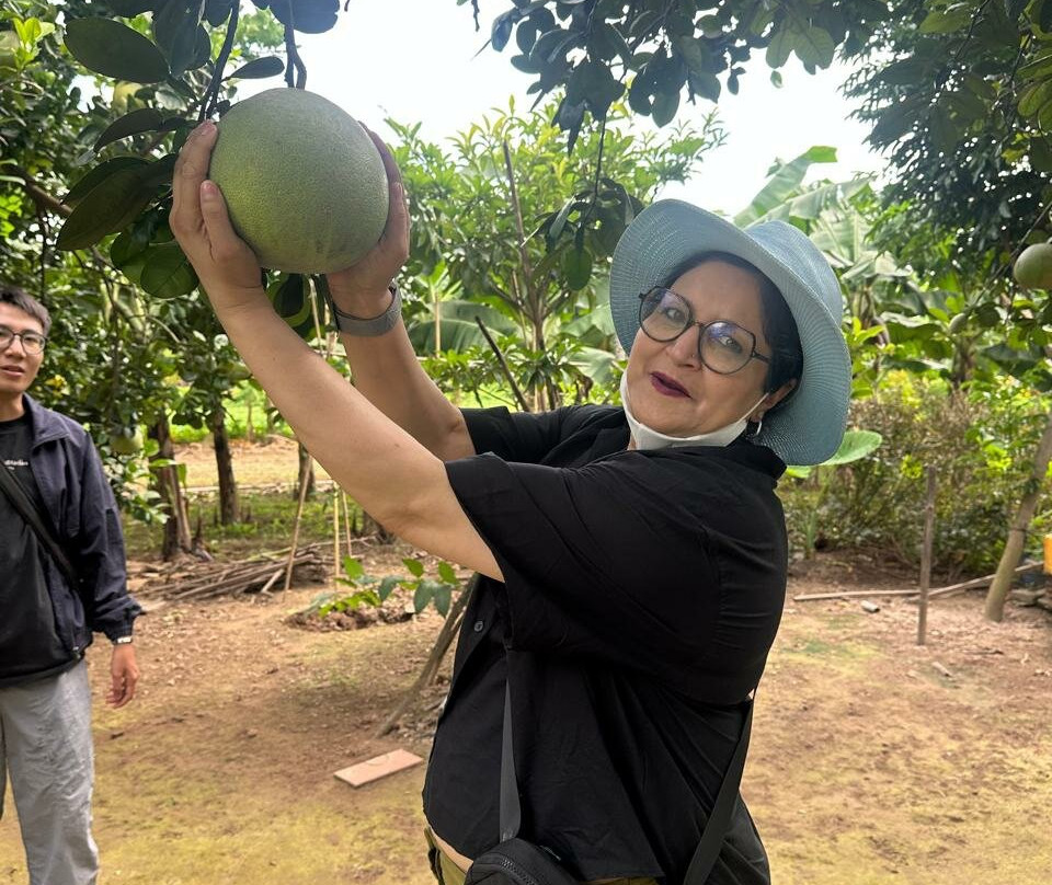 Authentic Vietnam Tours-河内必去景点