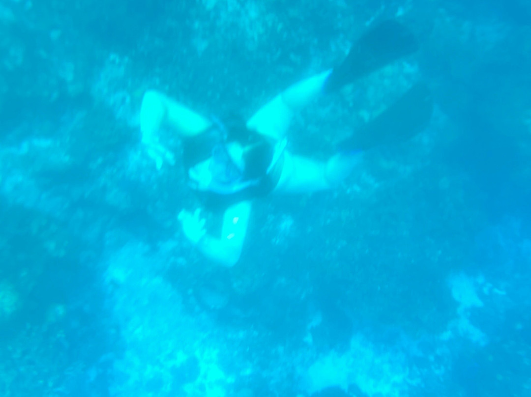 Dressel Divers Playa Del Carmen-普拉亚德尔卡曼必去景点