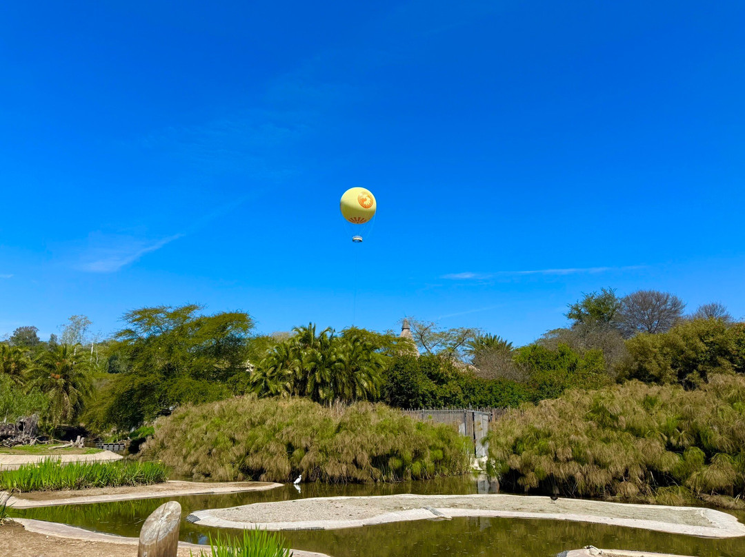 圣地亚哥野生动物公园-埃斯孔迪多必去景点