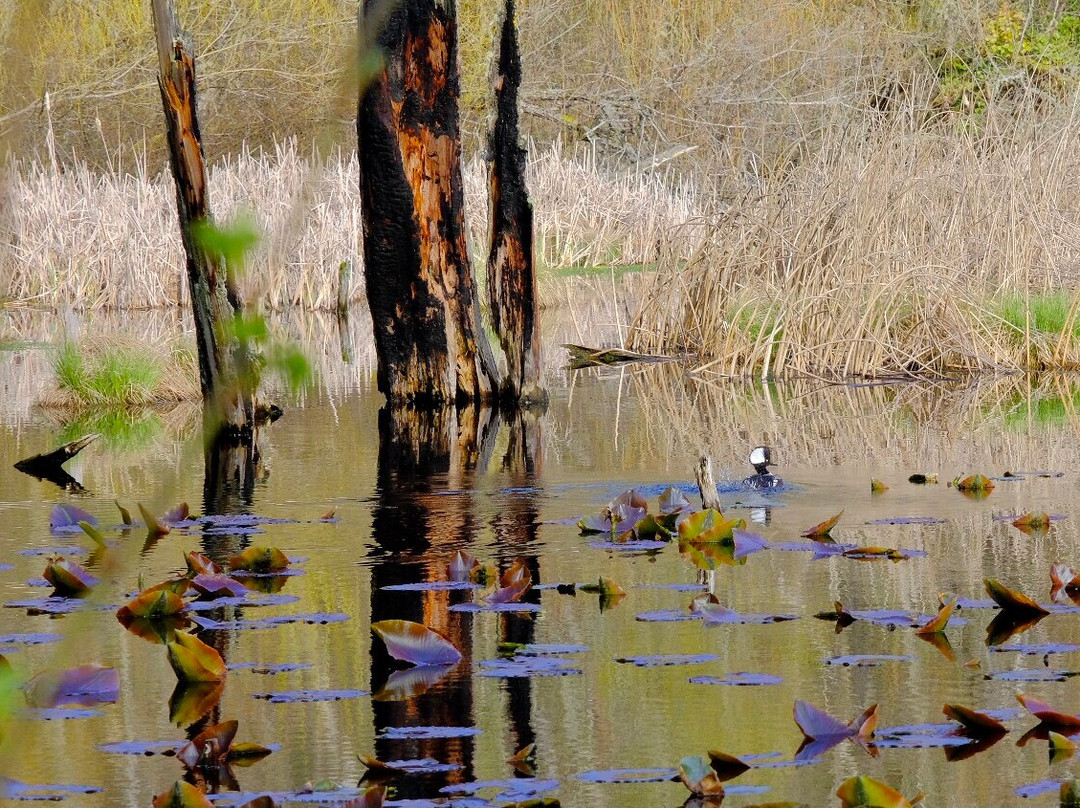 Earth Sanctuary-Langley必去景点